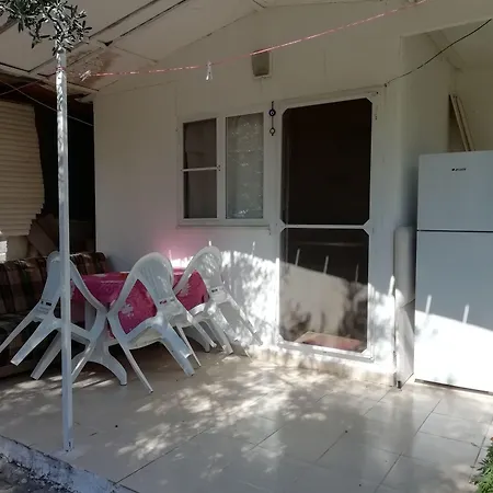 Mini Bufe * Sazlı